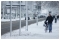 Photograph 12 of 15, December 2010: Commuters battle through the snow in Cowdray Avenue, Colchester