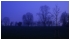 January 2009: A twilight view of Colchester's Castle Park on a cold winter's morning